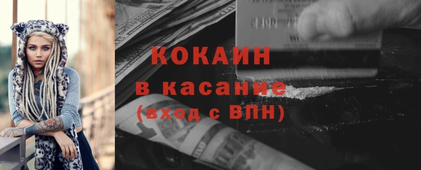 соль ск Дмитров