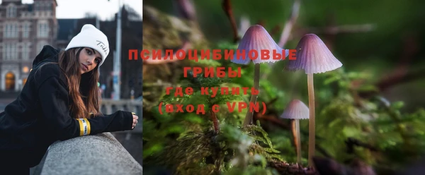 спайс Дмитриев