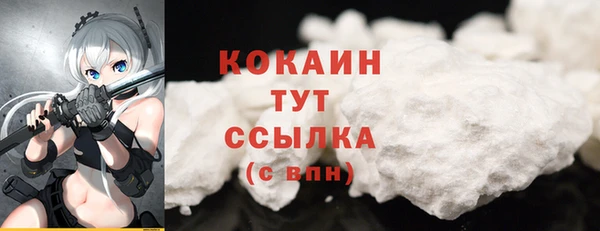 спайс Дмитриев