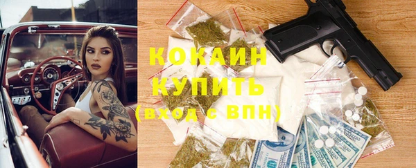 спайс Дмитриев