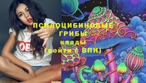 герыч Дмитровск