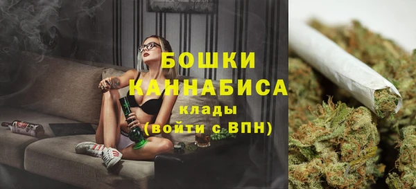 соль ск Дмитров
