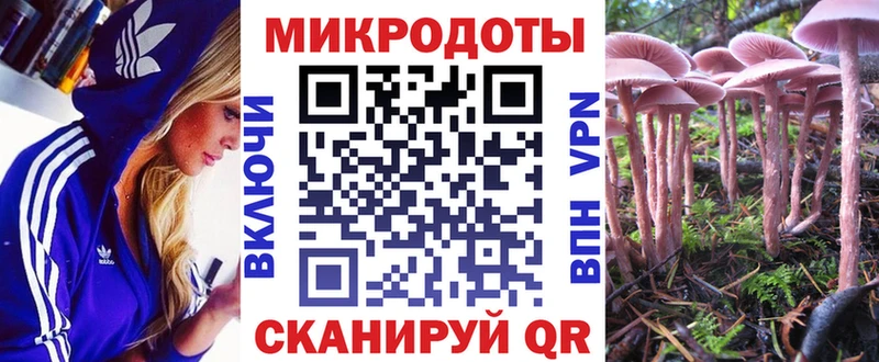 Купить где  Кола  Галлюциногенные грибы Magic Shrooms 